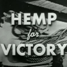 Hemp facts