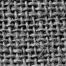 organic fabric