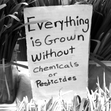 Why organic?